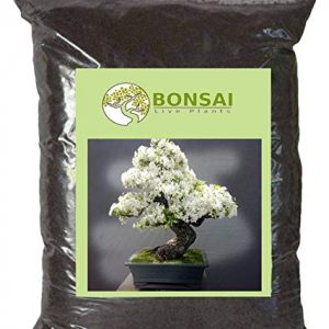 Bonsai Soil