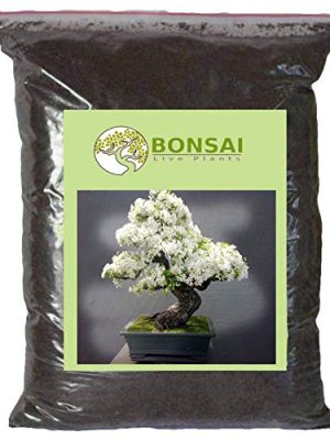 Bonsai Soil