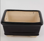black ceramic pot bonsai 8 inches