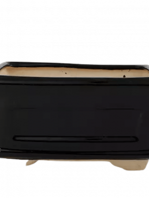 bonsai pots online ceramic pots