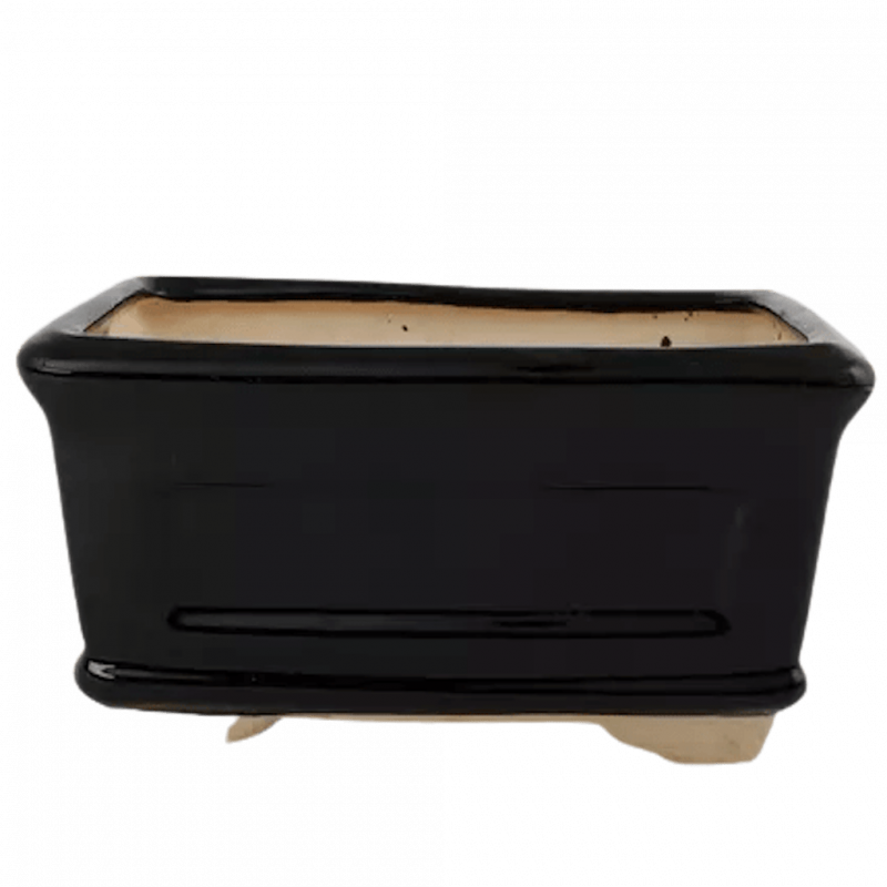bonsai pots online ceramic pots