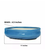 bonsai pot oval light blue size