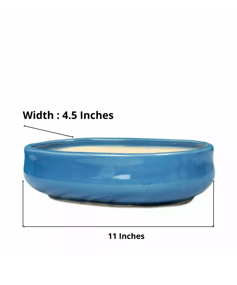 bonsai pot oval light blue size