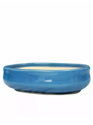 bonsai pot oval light blue