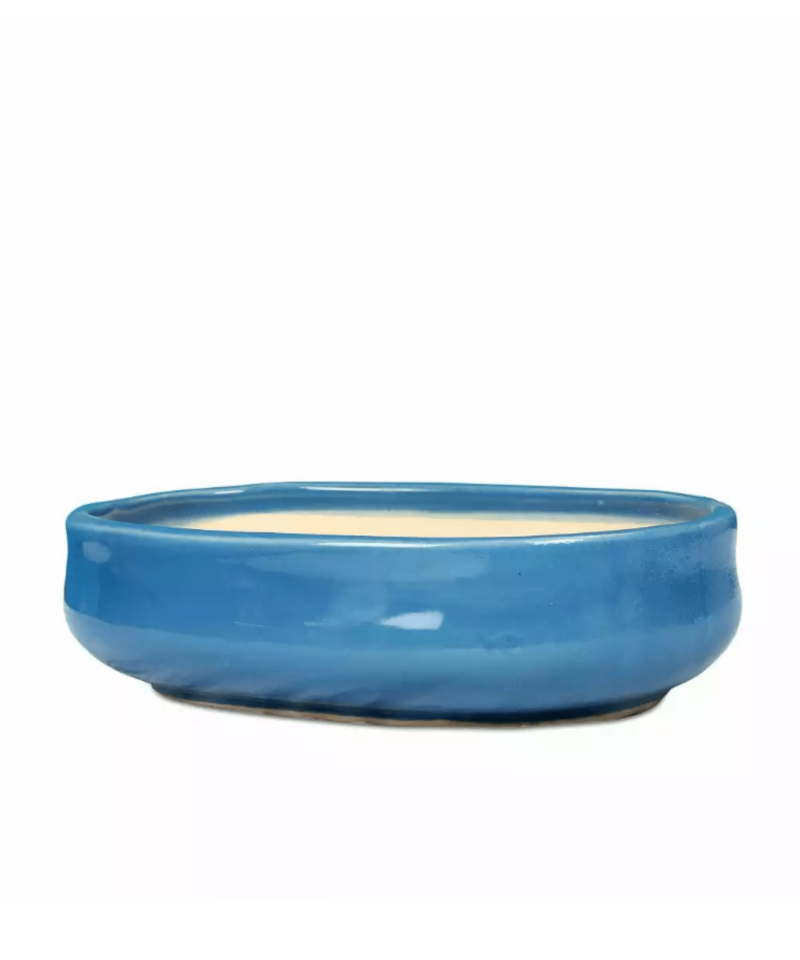 bonsai pot oval light blue