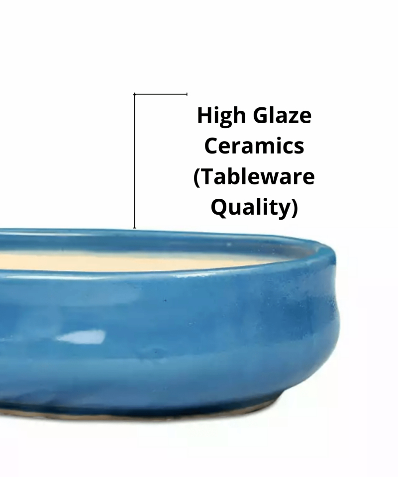 bonsai pot oval light teal