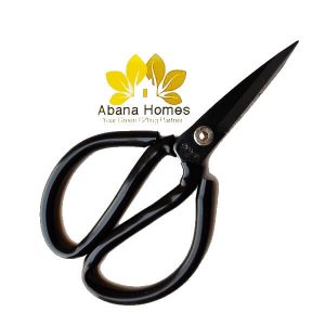 Bonsai Shears 6.5 Inch (Multi color)