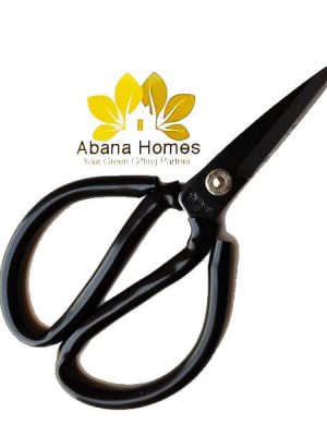 Bonsai Shears 8 Inches (Multi color)