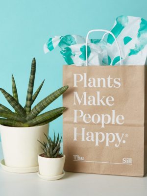 Gifting Plants Online