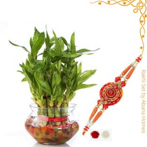 Rakhi Gifting Plant