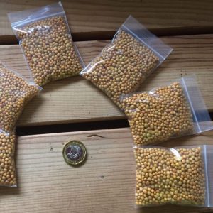 Bonsai Fertilizer - Osmocote - Smart Slow Release Plant Food