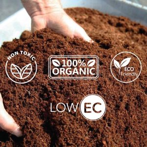 cocopeat online for home garden