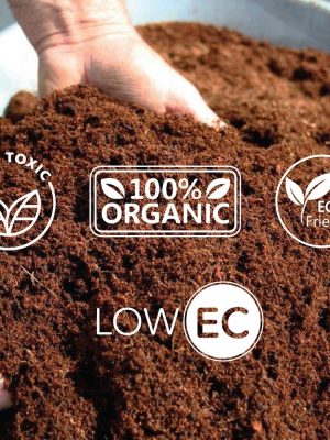 cocopeat online for home garden