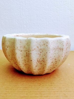 Bonsai Pots Ceramic Kamrak
