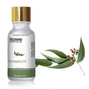 Eucalyptus Essential Oil - 100% Pure & Organic