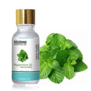 Peppermint Essential Oil - 100% Pure & Organic