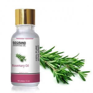 Rosemary Essential Oil - 100% Pure & Organic