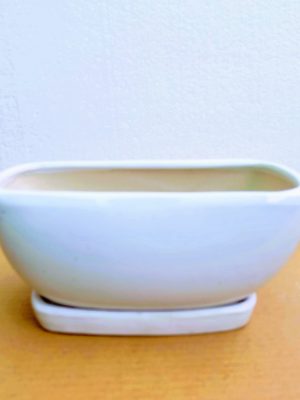 White Ceramic Bonsai Tray Pot