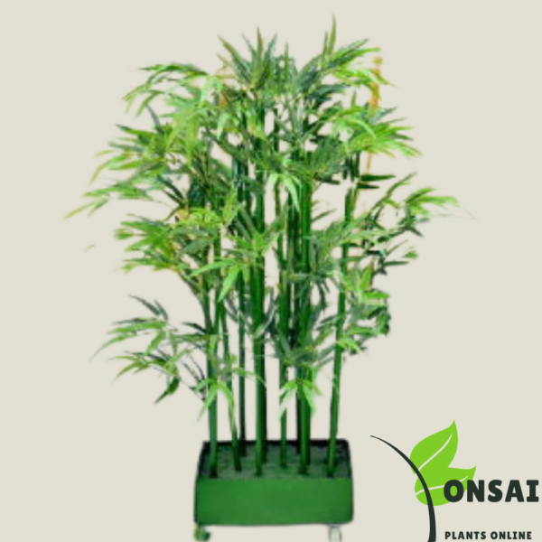 Get the straight layer bamboo bonsai