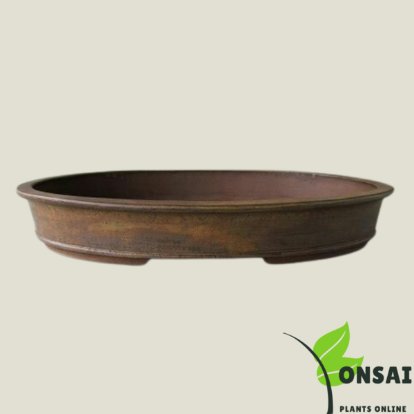 Get beautiful Ceramic bonsai pots for indoor and outdoor plants