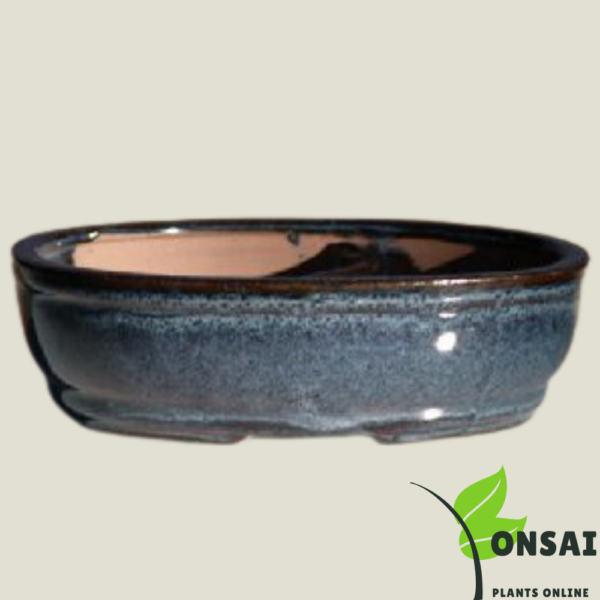 Get beautiful Ceramic bonsai pots for indoor and outdoor plants