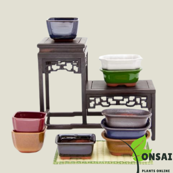 Get the beautifully glazed ceramic pots for bonsai