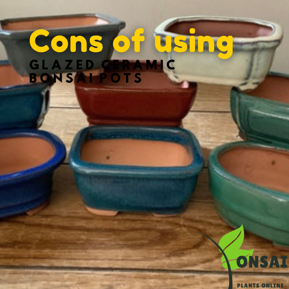 Beautifully glazed ceramic pots for outdoor and indoor bonsai plants