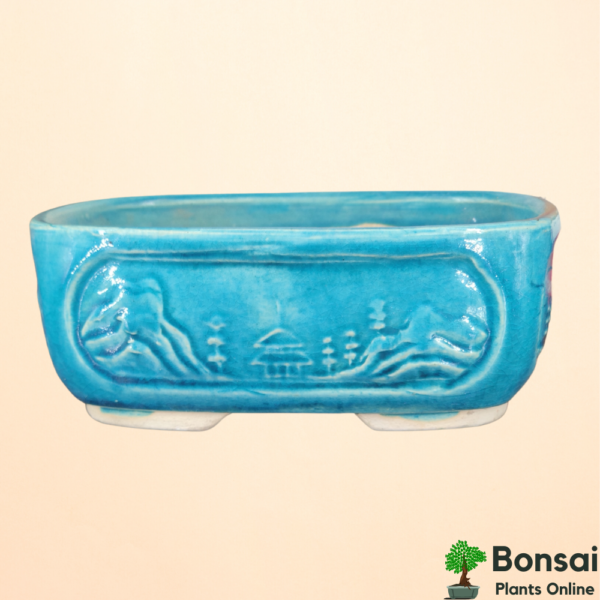 Get this royal glazed ceramic bonsai pot