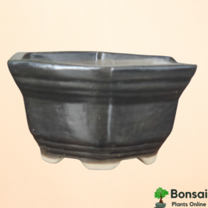 Get this hexagonal glazed ceramic bonsai pot