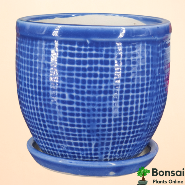 Get the dia style glazed ceramic pot