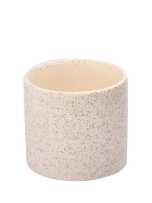 Get this beautiful and textured ceramic bonsai pot