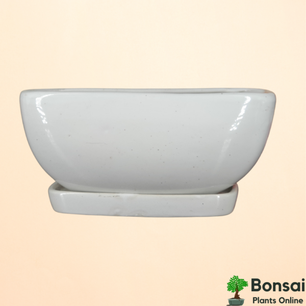 Get this beautiful ceramic bonsai pot with watering tray