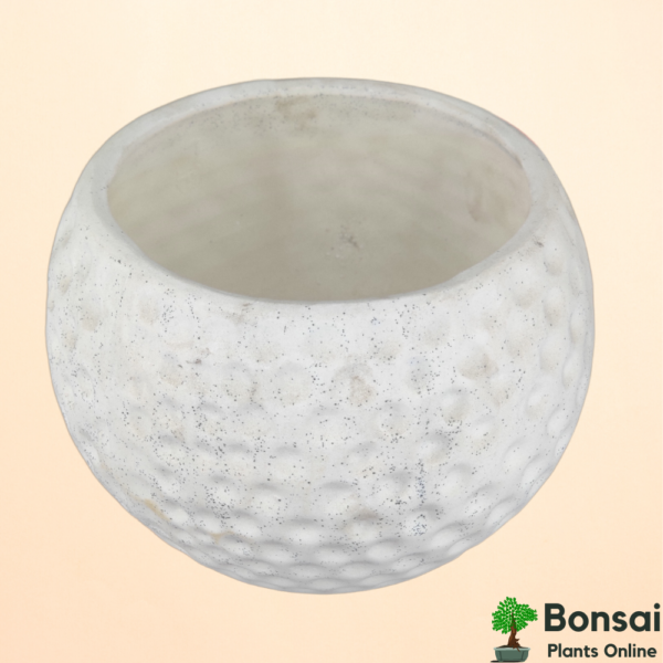 Get this beautiful football-style ceramic bonsai pot