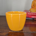 Get this ceramic flower pot for your bonsai plants in 4 variants