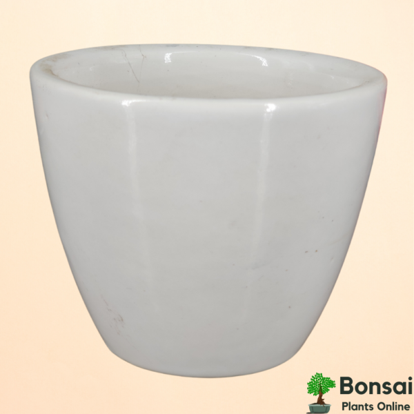 Get this beautiful colored ceramic bonsai flowerpot