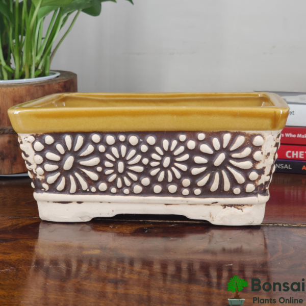 Get this decorative and glazed ceramic bonsai pot