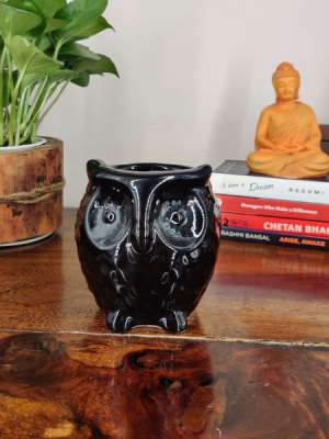 Attract wealth indoors with this owl design bonsai pot