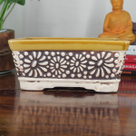 Ceramic Bonsai Pot