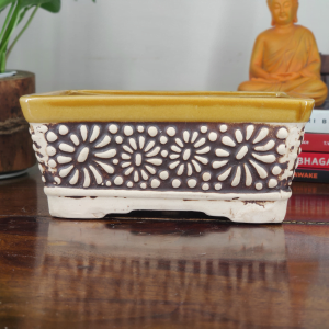 Ceramic Bonsai Pot