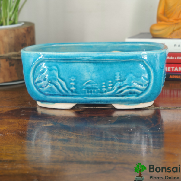 Get this royal glazed ceramic bonsai pot