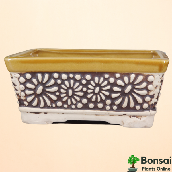 Get this decorative and glazed ceramic bonsai pot