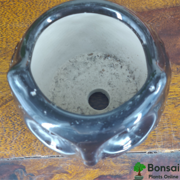 Get this beautiful and unique glazed ceramic bonsai pot