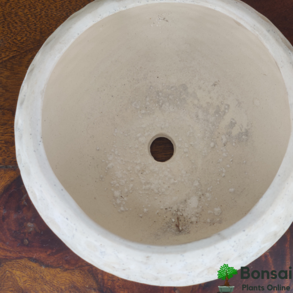 Get this beautiful football-style ceramic bonsai pot