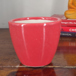 Get this ceramic flower pot for your bonsai plants in 4 variants