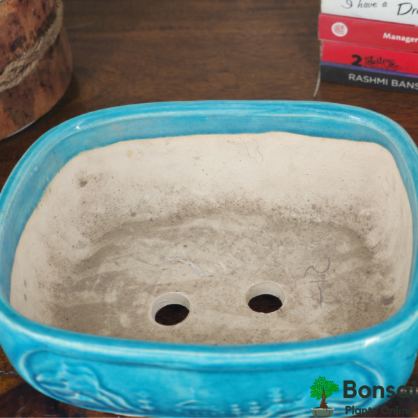 Get this royal glazed ceramic bonsai pot