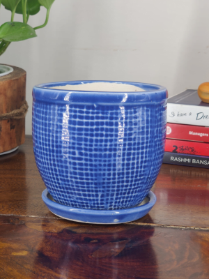 Get this glazed ceramic pot to beautify your bonsai plant