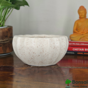 Get this beautiful and glazed ceramic bonsai pot for your plants