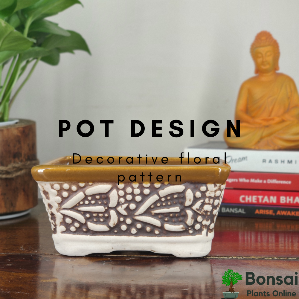 Get this decorative and glazed ceramic bonsai pot