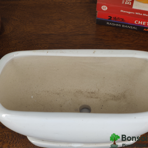 Get this beautiful ceramic bonsai pot with watering tray