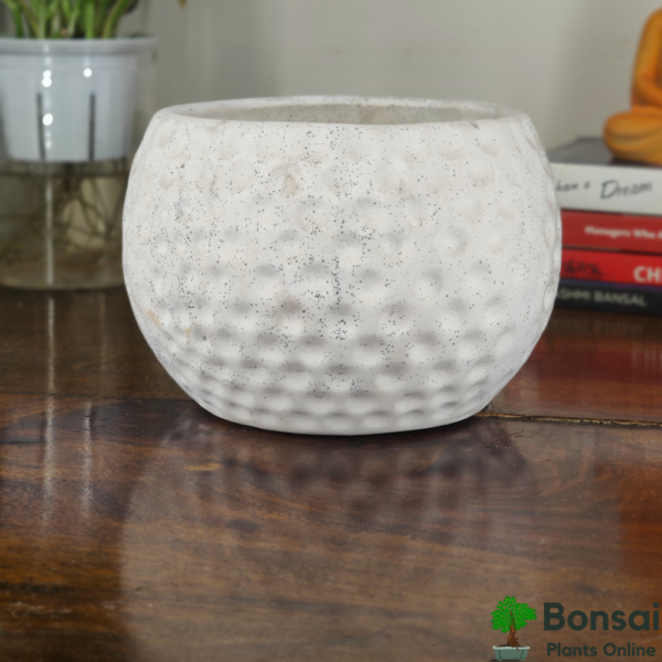 Get this beautiful football-style ceramic bonsai pot